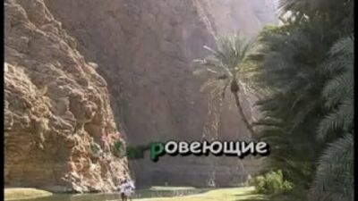 Мохнатый Шмель караоке