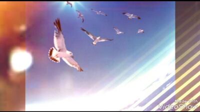 Видео - подарок для вас наши #2Маши