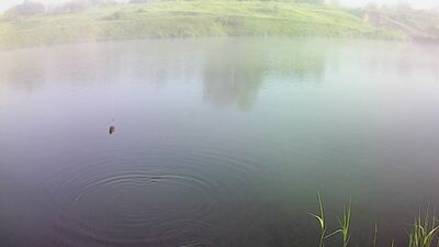 Бешеный клев