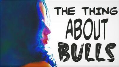 The Thing About Bulls & How To Be Mine - AlleyChatt