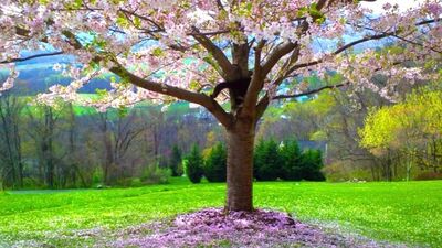 Страстное эротическое аудио для мужчин