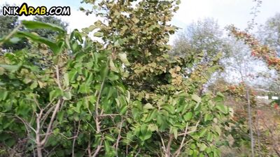 Арабы без анала не обойдутся