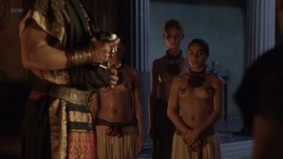 Aria Dickson, etc Nude - Spartacus Blood And Sand - s01e12 (US 2010) 1080p