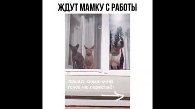 Мамочка