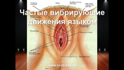 Как правильно делать куни ,оргазм, анальный секс и маструбация