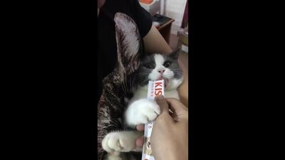 Redditsave.com_i_must_have_more-8f318s02ne381