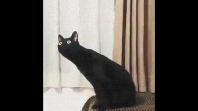 Нихуя себе ебануться... | Святые из трущоб(гоблин)