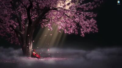 Самурай и сакура - живые обои для Wallpaper Engine