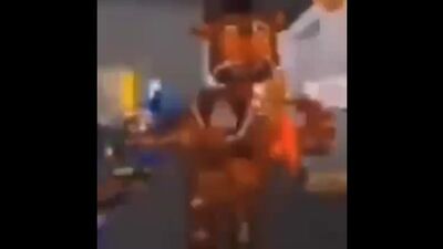 Мишка фреде рожает