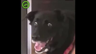 8 МИНУТ ПРИКОЛОВ ДО СЛЕЗ 2019. ЛУЧШИЕ СМЕШНЫЕ РУССКИЕ ПРИКОЛЫ 2019 ГОДА