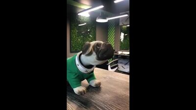 Video by Барбершоп | BORODACH | Ярославль