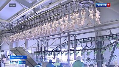 Video by [ТА] Типичный Асбест