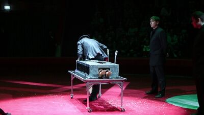 Итальянский Цирк "Слоны и Тигры" Ижевск