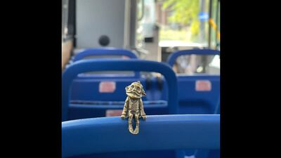 От горных вершин Пакистана до небоскрёбов Чикаго: калининградский хомлин путешествует по миру