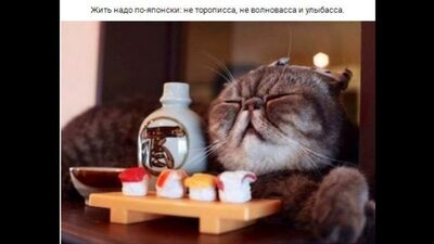 Решу #ЕГЭ #задания #математика #репетитор