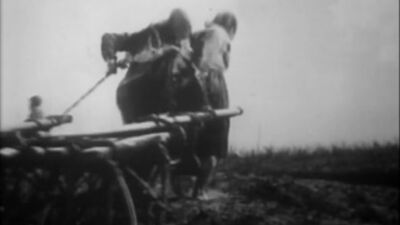 История России. ХХ век. Фильм 067. Становление Советского государства. Часть 2. Коллективизация