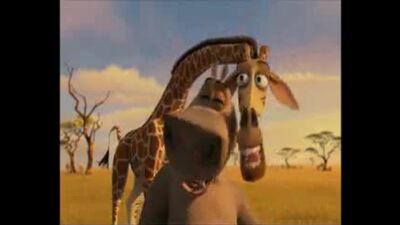 Мадагаскар 2 (смех Глории)