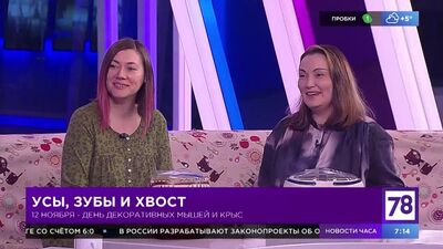 Доброе утро - 12 ноября 2021