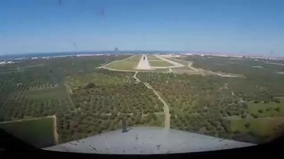 Столкновение самолетов с птицами