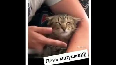 Хороший у него кожаный раб)