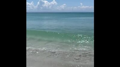 Video by Запутевкой.рф - ТУРЫ СПб | ОНЛАЙН