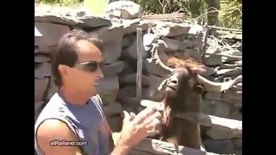 Типичный разговор с дагестанцем)))