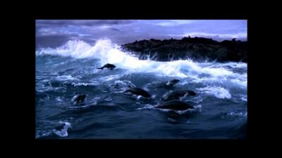 Нашид - Кунту Маитан