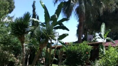 Турция-обзор отеля SUN MARITIM HOTEL 4*