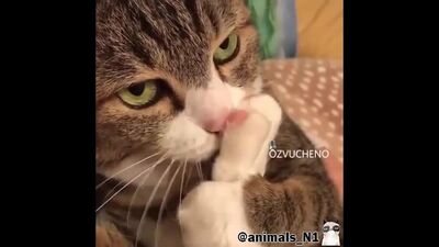 415 я база почему не отвечаете