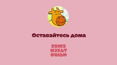 Оранжевая корова. Советы в период эпидемии