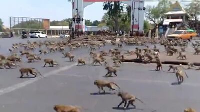 Планета обезьян_ война