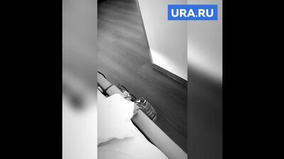 Тимофей Алтушкин попал в больницу