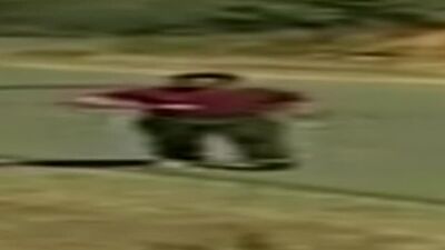 Широкий Стив Рэмбо гуляет по лесу