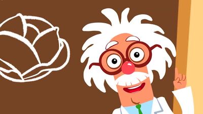 Синий трактор. Как сказал профессор кислых щей