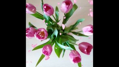 Video by Злата Печка - пекарня в Екатеринбурге