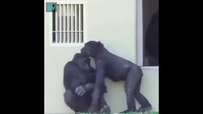 Это могли быть мы с тобой, но ты мне не пишешь...