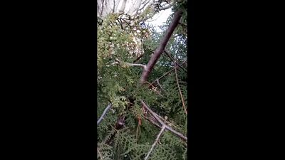 Muzlome_Imagine_Dragons_-_Bad_Liar_60200817_1.mp4