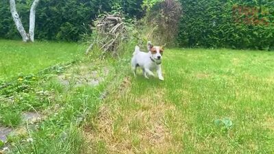 [ЛОКИ БОБО] Обновление GRANNY 3 ► Смешные моменты + НОВАЯ Концовка