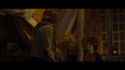 Гарри Поттер и Кубок Огня. Фрагмент. Фред и Джордж Уизли