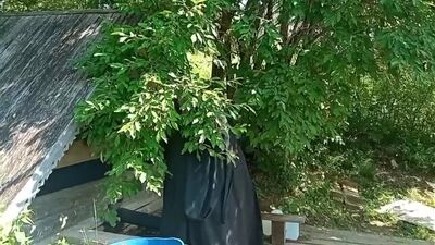 Крестный ход