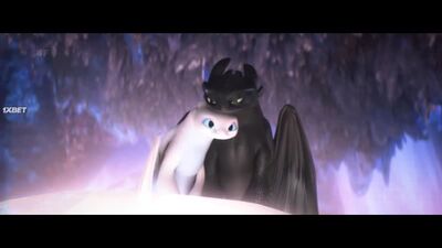 Toothless x Light Fury