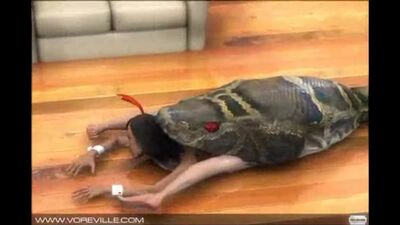 Snake Vore - Sexy Animations - Twisted Snake Animation