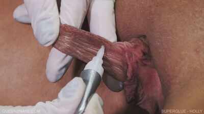 Суперклей - Holly - Queensnake.com - Queensect.com