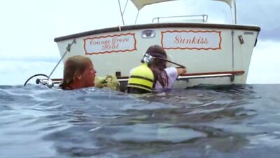 Jacqueline Bissset the Deep