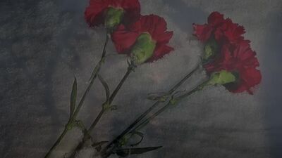 А. Твардовский, "Василий Тёркин". "Смерть и воин"