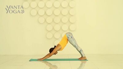 Адхо Мукха Шванасана - Adho Mukha Svanasana #YantaYoga