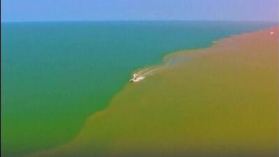 Желтая река Хуанхэ впадает в море