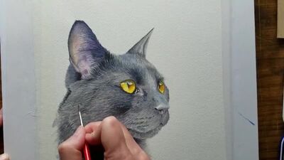 Акварель. Рисуем кошку