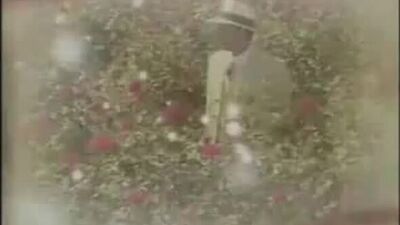 Актеры сериала Alma Gemea