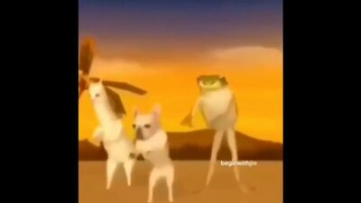 Мем тик ток, ялта август и мы с тобою влюблены, ялта август, собака, лягушка, птица.mp4